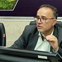 نماینده مجلس: فعالیت سکوهای برخط عرضه داروهای خاص نیازمند نظارت دقیق است