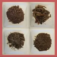 کشف صدها باکتری و دو آنتی‌بیوتیک جدید از دل خاک جنگل