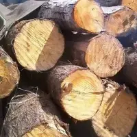 کشف ۱۵ تن چوب فاقد مجوز در گالیگش