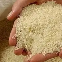 جریمه تاوان تخلیط برنج