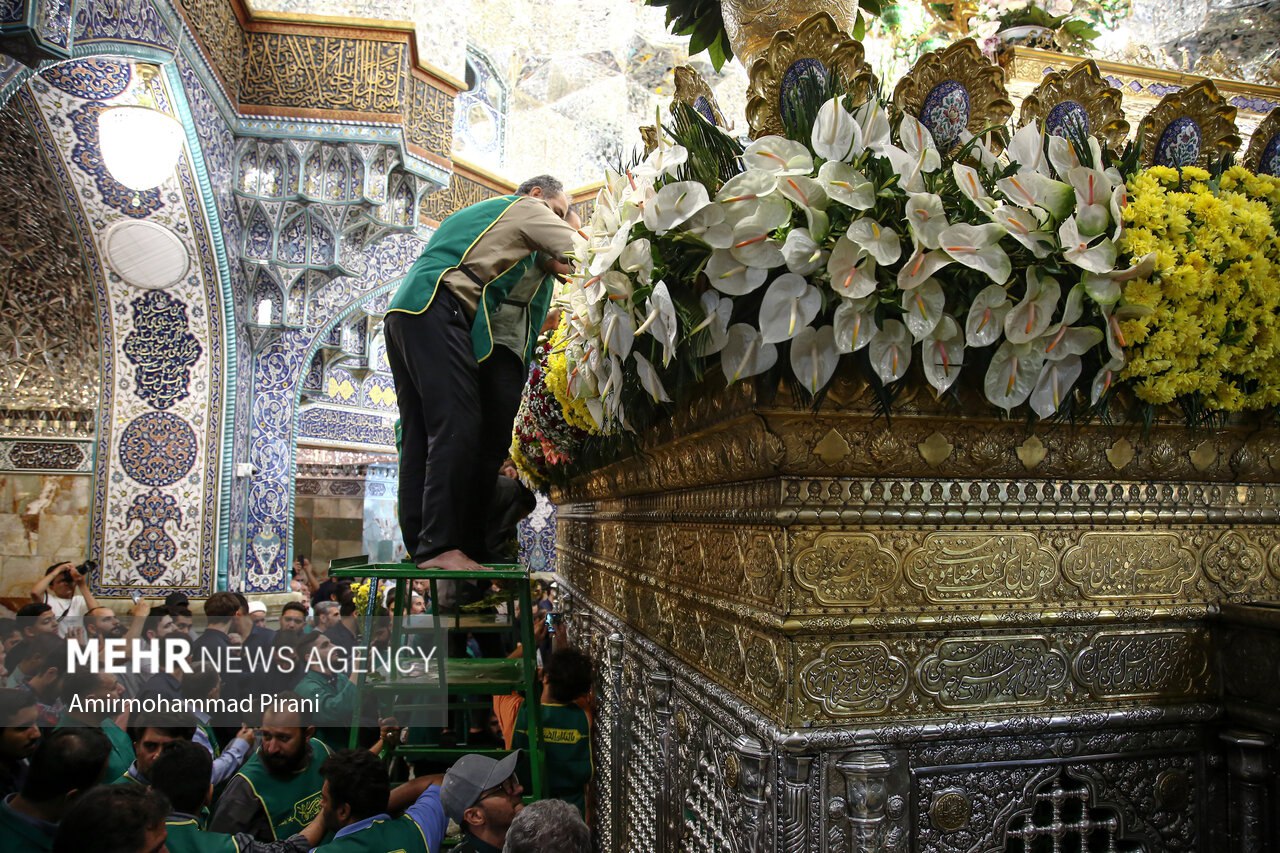 عکس/ گل آرایی ضریح مطهر حضرت فاطمه معصومه(س)