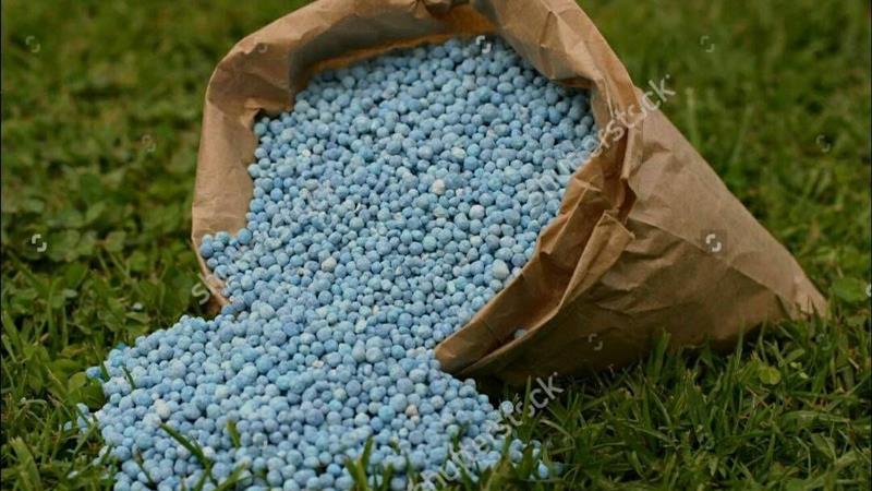 قاچاقچیان کود شیمیایی در مشگینشهر نقره داغ شدند