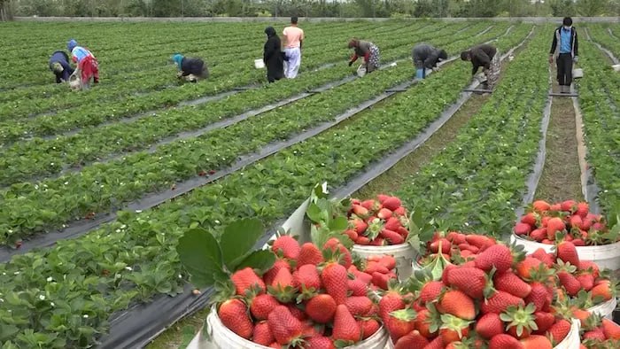 بَهمَنیر، شهری در استان مازندران و از توابع شهرستان بابلسر