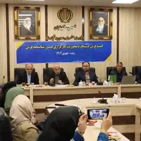 شناسنامه فرش دستباف گیلان صادر شد
