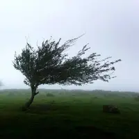 هشدار هواشناسی همدان درباره وزش باد شدید و کاهش محسوس دما