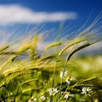 تشدید سرعت وزش باد و بارش‌ها در آذربایجان غربی
