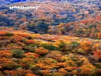 از زیباترین نقاط ایران برای دیدن پاییز