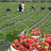 بَهمَنیر، شهری در استان مازندران و از توابع شهرستان بابلسر