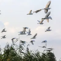 آسمان گیلان ابری و مه‌آلود