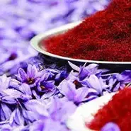 طلای سرخ ایران در چنگال قاچاقچیان؛ زعفران ایرانی به نام افغانستان فروخته می‌شود