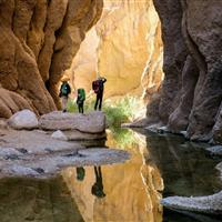 افزایش ۱۹ درصدی تردد مسافران در خراسان جنوبی
