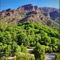 بیشه پیرتو در دورود لرستان