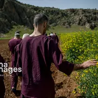 دور از هیاهو، نزدیک به آرامش  