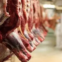 معدوم‌سازی ۲ تن گوشت قرمز غیر بهداشتی در زاهدان
