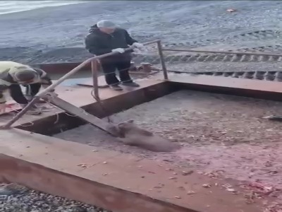  حادثه ناگوار برای یک توله خرس هنگام ماهیگیری