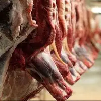آغاز واردات دوباره گوشت قرمز به کشور