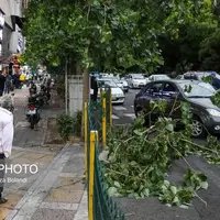 کاهش دمای تهران از شنبه؛ تهرانی‌ها مراقب باد شدید باشند