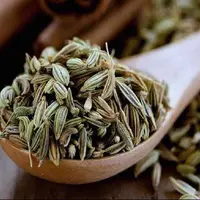 عوارض خطرناک رازیانه! 
