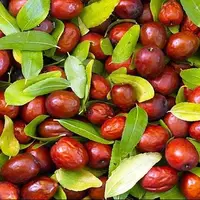 خواص شگفت‌انگیز این ماده غذایی؛ از کاهش کلسترول تا تقویت پوست