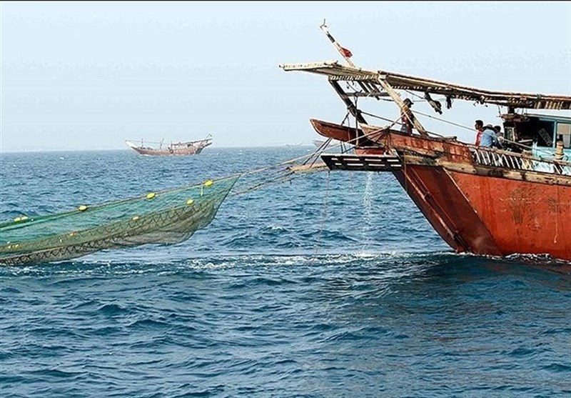 صید بیش از ۲ هزار تن میگو در ساحل استان بوشهر