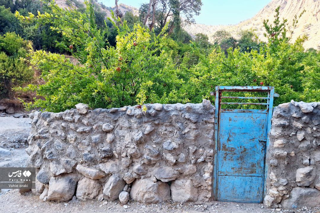 طبیعت بکر خوزستان 