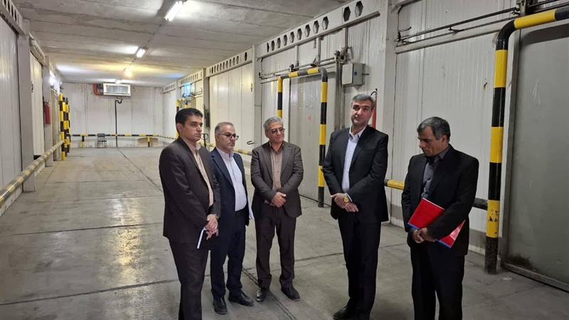 بازدید میدانی معاون پشتیبانی امور دام از سردخانه ایلام/آغاز عملیات بهینه‌سازی
