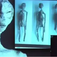 نتایج بررسی DNA مومیایی بیگانه نازکا نشان می‌دهد که بقایای مومیایی شده انسان نیستند!