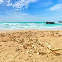 زیباترین سواحل هرمزگان که باید ببینید
