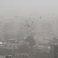 هواشناسی خراسان رضوی هشدار سطح نارنجی برای گردوخاک صادر کرد
