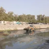 خور گور سوزان بندرعباس پاکسازی شد