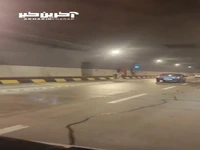 حضور یک اسب وحشی در تونل آزادراه تهران شمال