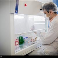 توافق‌نامه‌‌های همکاری ایران و چین در حوزه سلامت در حال تنظیم است