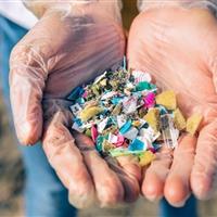 میکروپلاستیک‌ها می‌توانند به سلامت استخوان‌های انسان آسیب بزنند