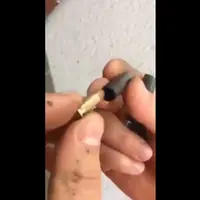 اسلحه استتارشده در قالب یک خودکار 