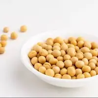 یک پروتئین گیاهی؛ از خواص و فرآورده‌های متنوع تا موارد احتیاط