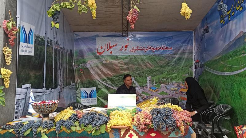تولید بیش از  ۳۰ هزار تن انگور در استان اردبیل
