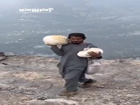 قارچ‌های کمیاب و غول‌پیکر در رشته کوه سلیمان