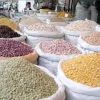 هشدار انجمن حبوبات؛ سونامی قیمت‌ها در راه است؟