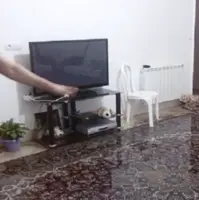 بارش باران به ۵۰ واحد مسکونی و تجاری آسیب وارد کرد