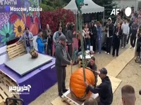 کدو تنبل یک تنی رکورد زد!