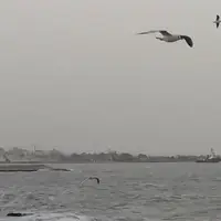 ضرب‌الاجل ۳ ماهه دادستان کنگان به شرکت‌های پارس جنوبی