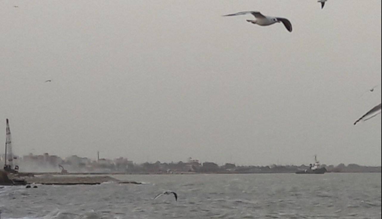 ضرب‌الاجل ۳ ماهه دادستان کنگان به شرکت‌های پارس جنوبی