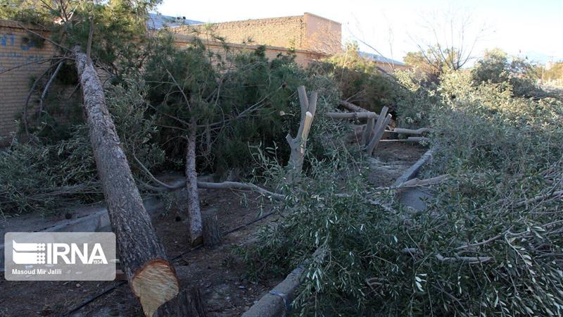 خداحافظی با درختان خطرساز بجنورد
