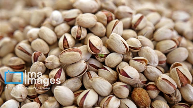پسته خراسان شمالی ۲۴ هزار میلیارد ریال ارزش‌افزوده دارد