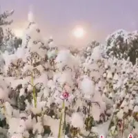 برف دیشب در ورزقان آذربایجان شرقی