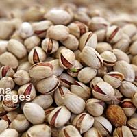 پسته خراسان شمالی ۲۴ هزار میلیارد ریال ارزش‌افزوده دارد