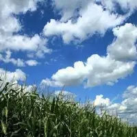 رشد ابر و رگبار محلی در ارتفاعات هرمزگان