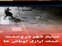 فیلم حمله وحشیانه اوباش به خانه‌ها و خودروها 