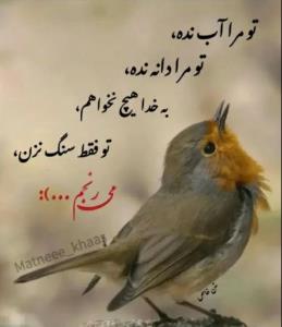 از شما/😢😢😢