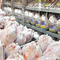 هر کیلو مرغ در شیراز ۱۸۰ هزار تومان!